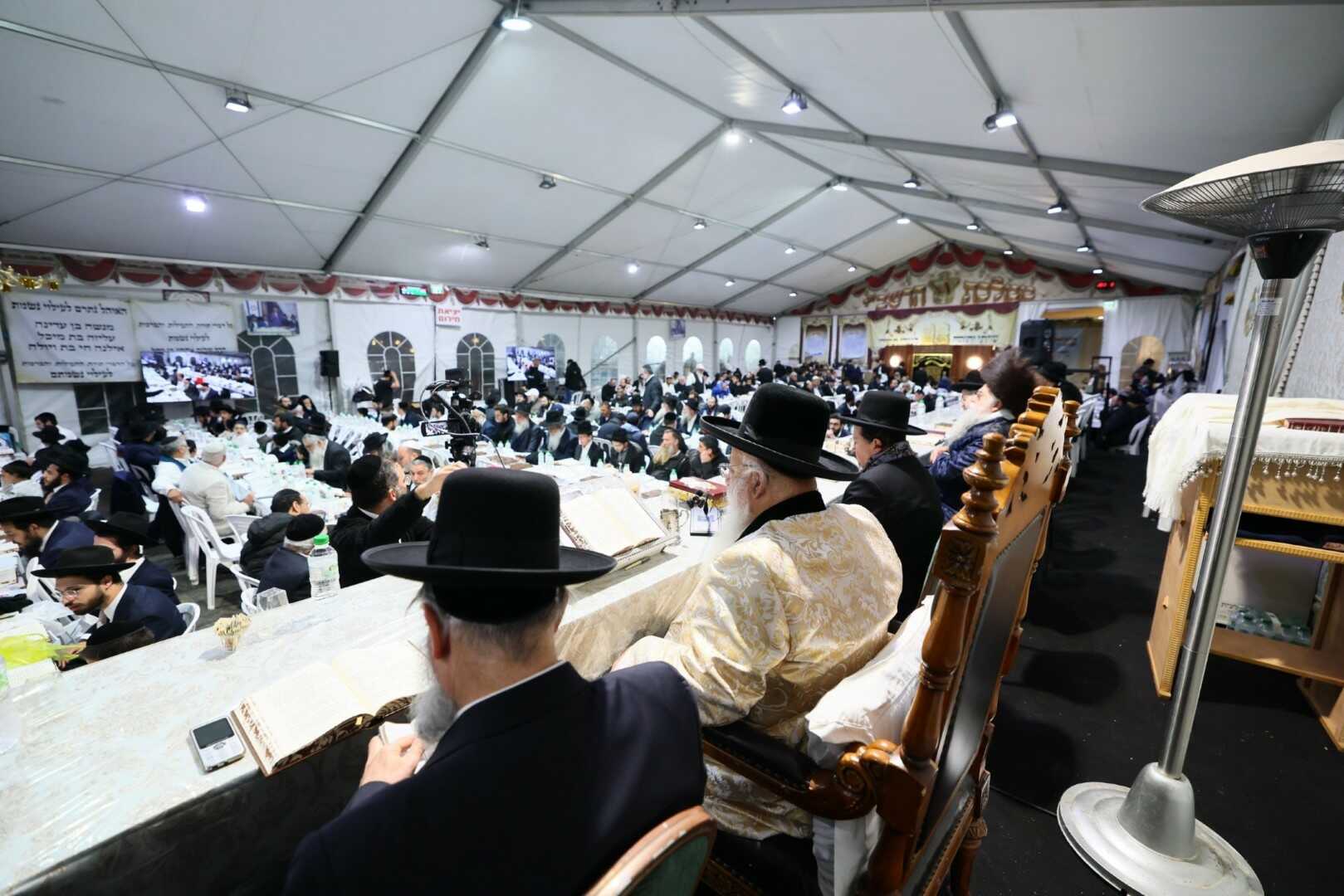 גלריית מירון 17